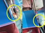 제주 시내버스서 담배 피는 中여성…제지하자 창밖에 꽁초 '휙'