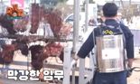"백종원 13분 영상 2개에 5억 지급"..축제 예산 3분의 1 투입한 인제군 '혈세낭비' 지적