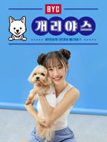 올 여름도 우리 댕댕이 시원하게...BYC 개리야스 신제품, 사전예약 시작