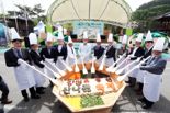 "봄 산나물 맛보러 오세요"...홍천 산나물축제 5월3일 개막