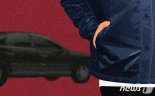 후배에 차량털이 시킨 20대 실형
