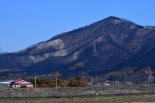산불 피해 영덕·청송 '특별재생지역' 지정...국토부, 80억 지원