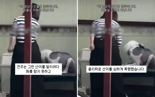 빗으로 대형견 폭행한 견주, 논란 일자 잘못 인정하고 소유권 이전