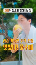 '과즙 폭발' 그 울주군 공무원 이번엔 '옹기맨'으로 조회수 폭발