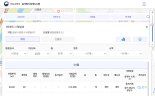 한달새 4억 뛴 분당… 알고보니 중개사 실수