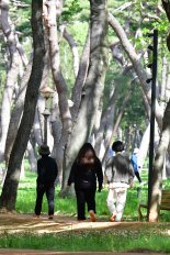 땅속 자유전자가 몸안으로… 장내 이화작용 촉매 역할해 ‘쾌변’ 도와 [Weekend 헬스]