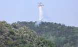 [단독] 반복되는 대형산불…예산은 제자리, 피해는 눈덩이 [화마와 싸우는 한국(上)]