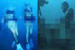태국 다이버들 산호초 위에서 '수중 성관계'...현지서 비난 폭주