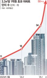 극단의 집값… 상위 50개 단지 ‘3.3㎡당 1억’ [서울 집값 '초양극화']