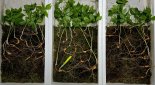 "감정가 1억 7000만원"..지리산서 발견한 '이것', 대체 뭐길래