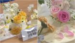 어버이날 케이크 준비했는데... 못 먹는 색소·꽃에서 농약 검출 '깜짝'