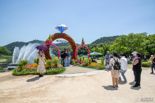 울산 태화강 국가정원 봄꽃축제..  6000만 송이 봄꽃 활짝