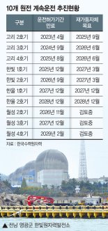 4년내 멈추는 국내 원전 8기…'계속운전' 논의는 지지부진 [2025 원전산업 리포트 (4)]