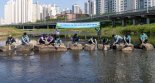 노루페인트, 안양시 공무원들과 안양천 정화 활동