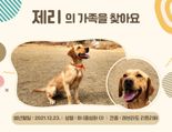 "마약탐지견 새 가족 찾습니다"...관세청, 탐지견 12마리 민간분양
