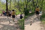 유치원생 바로 옆 뛰어다니는 개.."목줄 채워달라"했더니 욕설한 견주