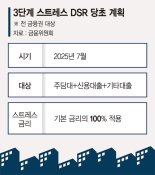 자금난 허덕이는 '비주거용 부동산' 3단계 DSR 시행땐 부실 뇌관 우려