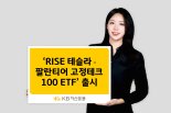 테슬라·팔란티어 비중 높여 나스닥100에 투자