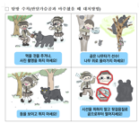 지리산 반달가슴곰 본격활동 시작.. 마주치면 이렇게해야