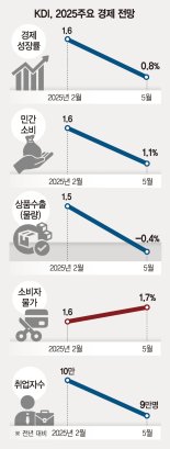 "내우외환 한국 경제, 美 관세 유예 끝나면 0%대 성장도 흔들" [국책연구기관 "올 0.8% 성장"]