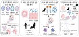 '미래 팬데믹 막는다'...박쥐 유사장기 실험모델 구축
