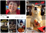 '습~' 키워드 확산.. CJ제일제당 '습김치' 흥행 몰이