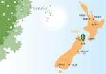 청량한 바닷바람 속 ‘최상의 포도’로… 와인강자 떠오르는 뉴질랜드 [Weekend 와인]