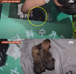 “낑낑” 한밤 중 의류수거함에서 들려온 소리 정체는…버려진 강아지들