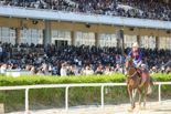 41억 우승마 ‘글로벌히트’, 부산 홈그라운드 승리 노린다