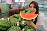 달달한 수박 한 통이 9990원...롯데마트 '꿀맛 수박 페스티벌'