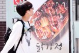'브라질 닭' 파동…정부 "브라질 AI 미발생 지역 닭고기 수입 허용"