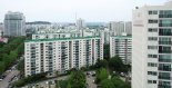 "숲세권 목동서 나무가 사라지고 있다” 무슨일? [부동산 산책]