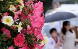 [오늘날씨] 전국 곳곳 비 내리며 선선...중부지방·제주도는 비