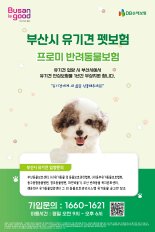부산시 "유기견 입양하면 1년간 펫보험 무료 지원"