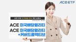 한투운용 ACE 미국배당퀄리티 ETF, 상장 이후 개인 순매수 지속