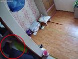 "TV 채널 바꿨다고"…화장실로 끌고가 집단 폭행한 요양보호사들 검찰 송치