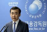 금감원 "취약보험사 별도 관리 강화…부채평가기준 정비 중"