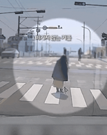 "인생샷이 뭐라고" 도로 한복판서 차량 막은 민폐 관광객 '울화통' [영상]