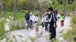 부산 시내 공원 잔디밭 반려견 입장 허용...10월까지 시범 운영