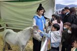 "부산 태종대 유원지서 무료로 승마체험 즐겨요"