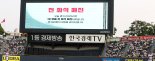 프로야구 인기, 주변 상권 매출 '훨훨... 경기 당일 매출 90% 급증