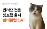 캐롯, 어바웃펫과 함께 반려묘 전용 펫보험 출시