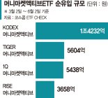 증시 반등에도 머니마켓 ETF로 돈 몰린다