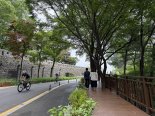 남산에 보행자 전용데크 설치...안전하게 남산 걸어요