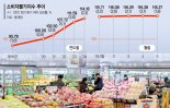 고기·계란값 등 뛰어 서민 부담… ‘물가안정’ 최우선 과제로[이재명 대통령 시대]