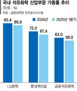 석화 "2028년 반등 사이클 온다" ‘사업재편 지원’ 급물살 전망