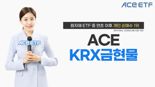 ACE KRX금현물 ETF, 원자재 ETF 중 연초 이후 개인 순매수 1위
