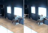 크리스털 의자에 앉아 사진 찍다 '우지끈'..파손되자 도망간 커플, CCTV에 딱 걸렸다