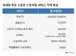 쿠팡플레이 ‘스포츠 패스’, 해외와 비교하니 여전히 저렴 [1일IT템]