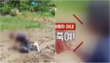 이웃에 손도끼 휘두른 남편, 아내는 "죽여!" 응원...살해 위협 충격